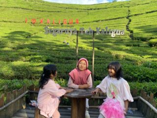 Ini Rincian Harga Tiket Wisata Kaligua Brebes dan Aktivitas Serunya