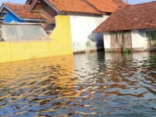 Ribuan Rumah di Losari Brebes Terendam Rob, Warga Desak Pembangunan Seawall
